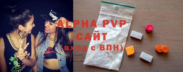 индика Дмитриев