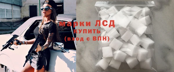 индика Дмитриев