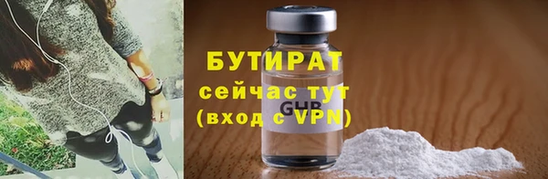 индика Дмитриев