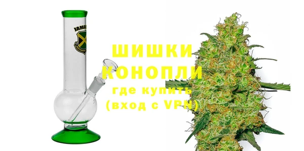 индика Дмитриев
