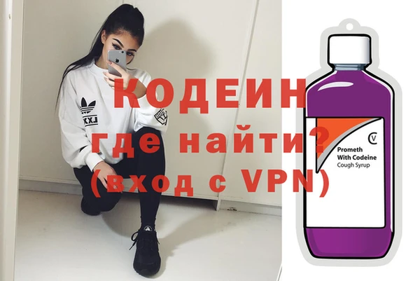 индика Дмитриев