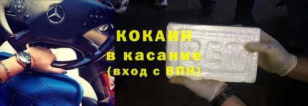 индика Дмитриев