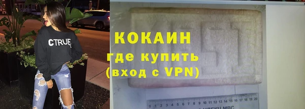 индика Дмитриев