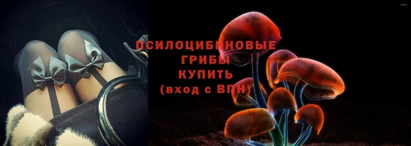 индика Дмитриев