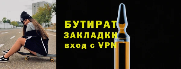 индика Дмитриев