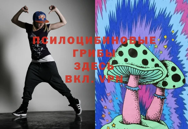 индика Дмитриев