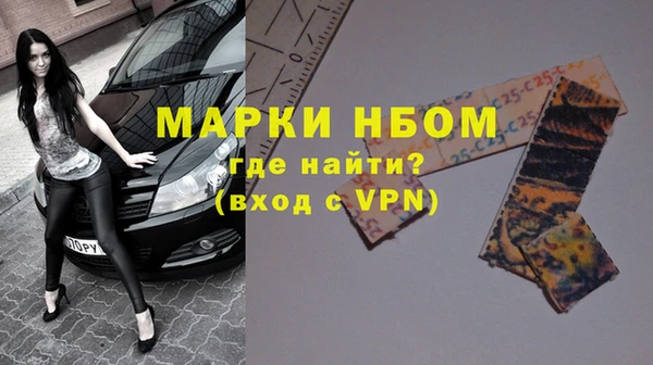 индика Дмитриев
