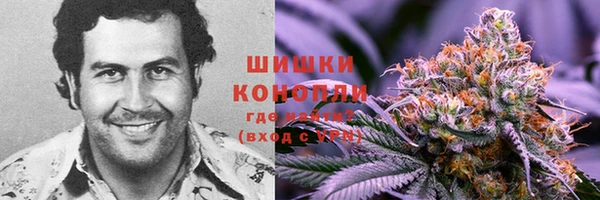 индика Дмитриев