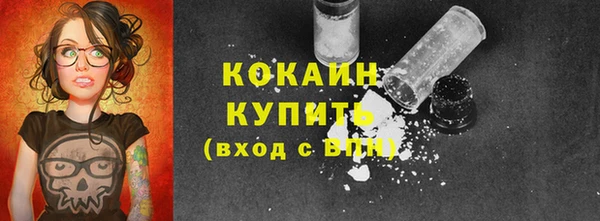 индика Дмитриев