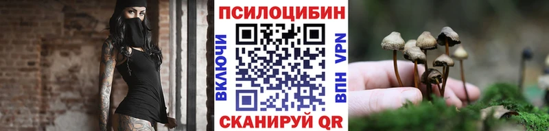 Купить закладки  Кимовск  Псилоцибиновые грибы Magic Shrooms 